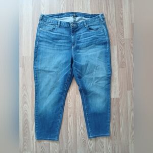 Lane Bryant Women's Blue Denim Jeans